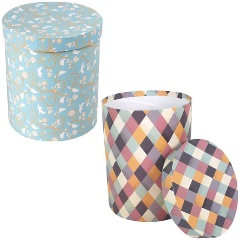 Подарочная коробка VELD CO 76725 цилиндровая для цветов (d17х22см)